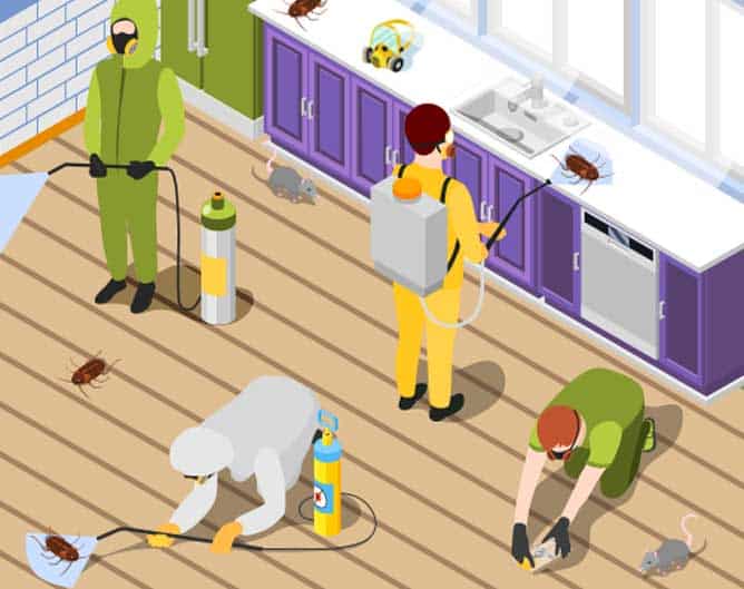 Pest control services in Ahmedabad